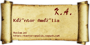 Kántor Amália névjegykártya