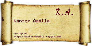 Kántor Amália névjegykártya